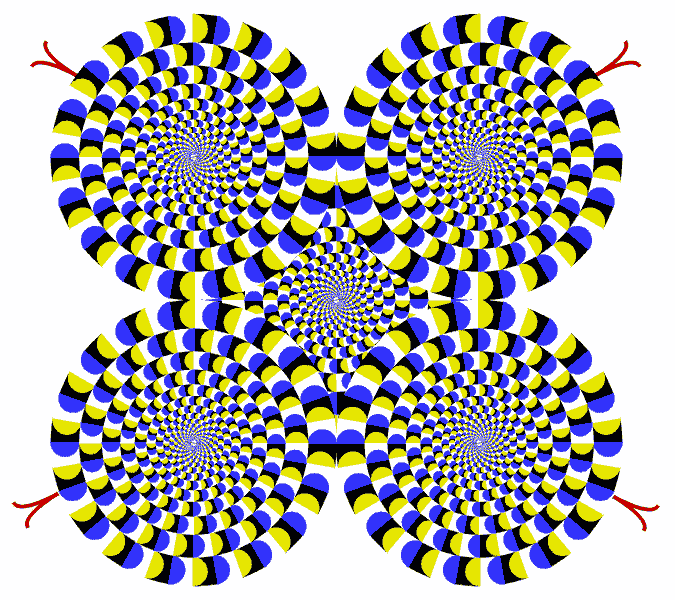 http://xsp.ru/illusion/move/images/rotsnak3.gif