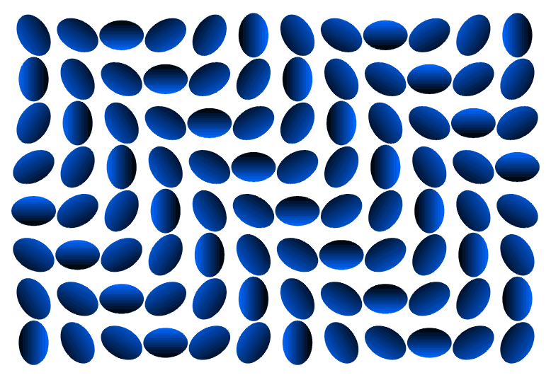 http://xsp.ru/illusion/move/images/tarakany.gif