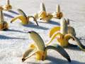 Бананы на снегу